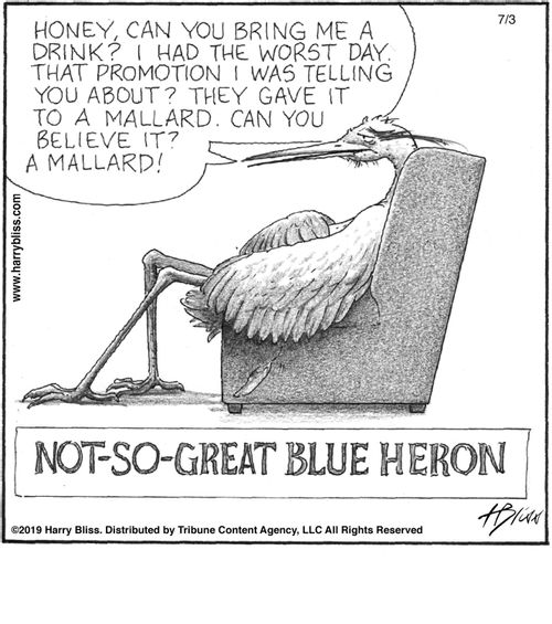 "Honey, can you bring me a drink? I had the worst day. That promotion I was telling you about? They gave it to a mallard. Can you believe it? A mallard!"