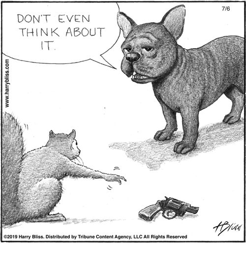 "Don't even think about it."