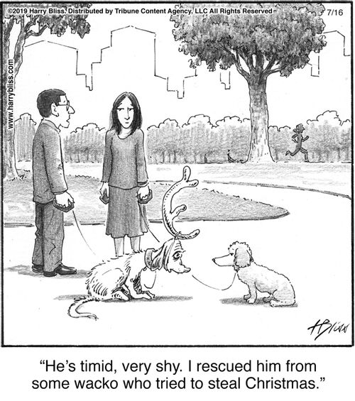 “He’s timid, very shy. I rescued him from some wacko who tried to steal Christmas.”