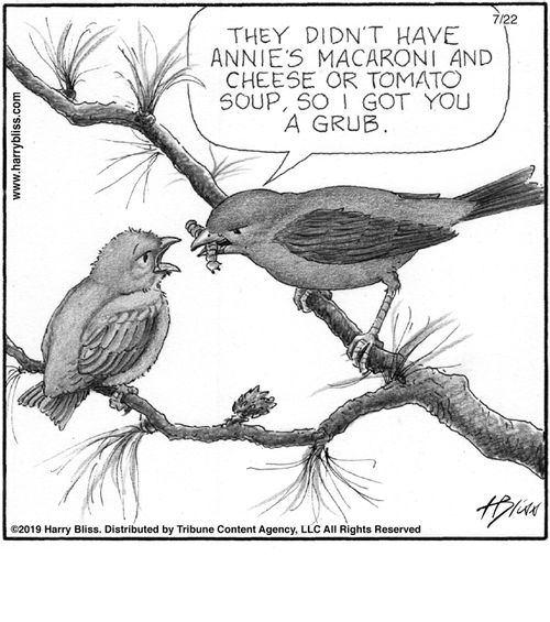"They didn't have Annie's macaroni and cheese or tomato soup, so I got you a grub."