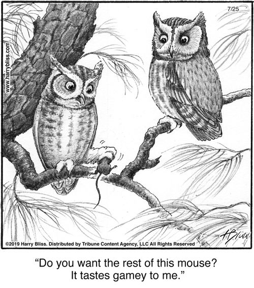 "Do you want the rest of this mouse? It tastes gamey to me."