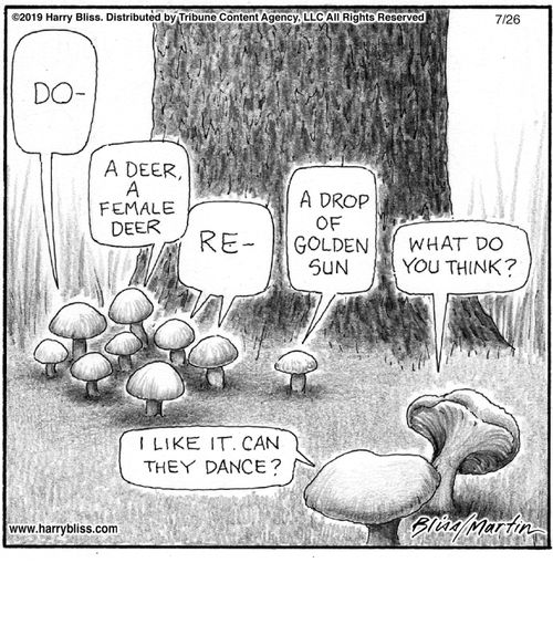 "Do-"  "A deer, a female deer."  "Re-"  "A drop of golden sun."  "What do you think?"  "I like it. Can they dance?"