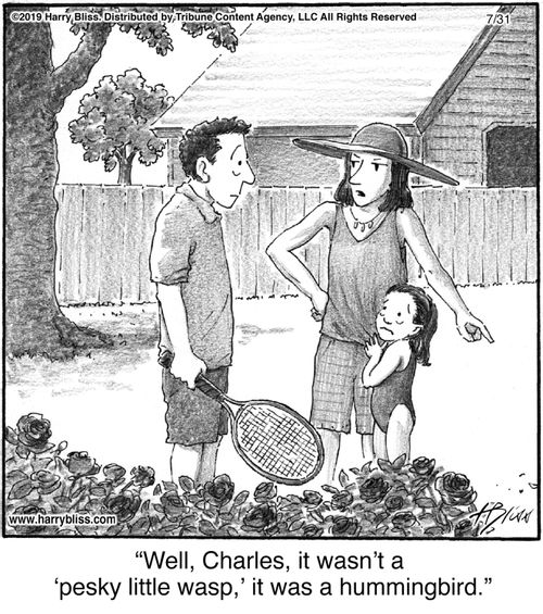 "Well, Charles, it wasn't a 'pesky little wasp,' it was a hummingbird."