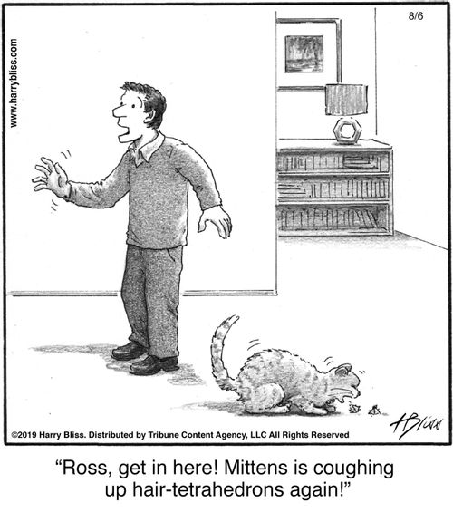 "Ross, get in here! Mittens is coughing up hair-tetrahedrons again!"