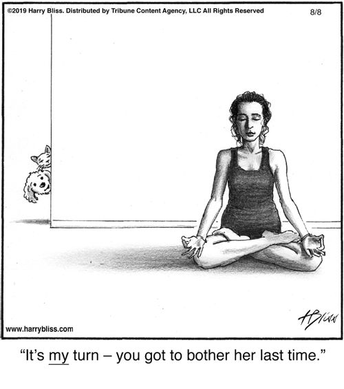 “It's my turn — you got to bother her last time.”