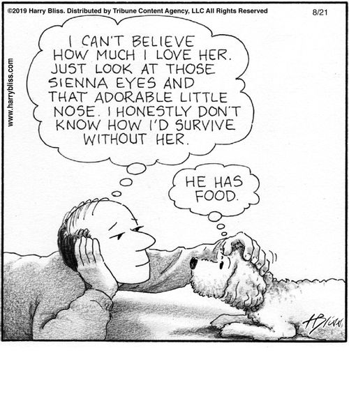 "I can't believe how much I love her. Just look at those sienna eyes and that adorable little nose. I honestly don't know how I'd survive without her."  "He has food."