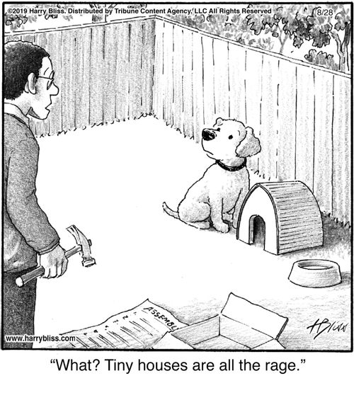 "What? Tiny houses are all the rage."