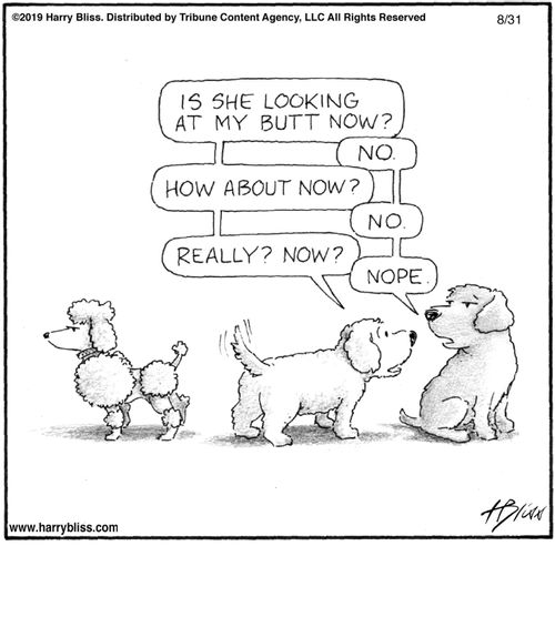 "Is she looking at my butt now? No. How about now? No. Really? Now? Nope."