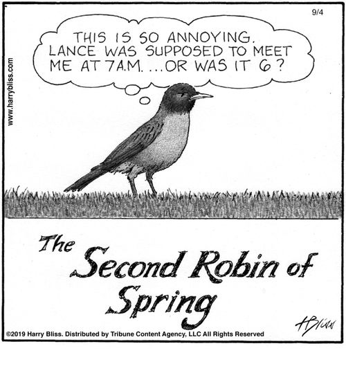 "This is so annoying. Lance was supposed to meet me at 7 a.m. ... or was it 6?"  The second robin of spring