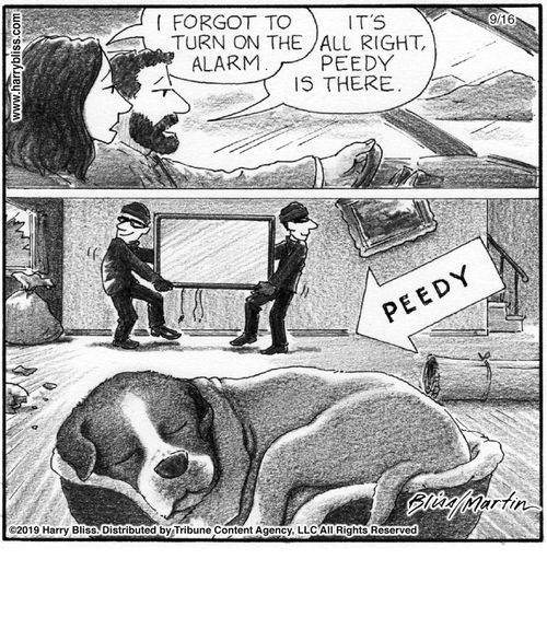 "I forgot to turn on the alarm."   "It's all right, Peedy is there."
