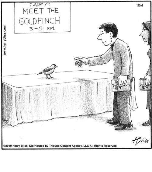 "Today: Meet the goldfinch 3-5 p.m."