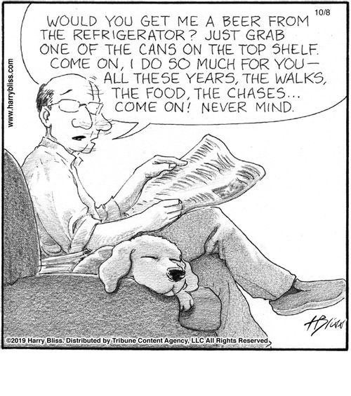 "Would you get me a beer from the refrigerator? Just grab one of the cans on the top shelf. Come on, I do so much for you—all these years, the walks, the food, the chases... Come on! Never mind."