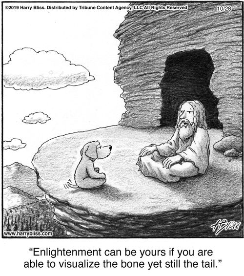 "Enlightenment can be yours if you are able to visualize the bone yet still the tail."