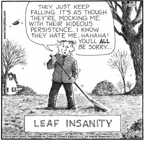 "They just keep falling. It's as though they're mocking me with their hideous persistence. I know they hate me, hahaha! You'll all be sorry..."  "Leaf insanity"
