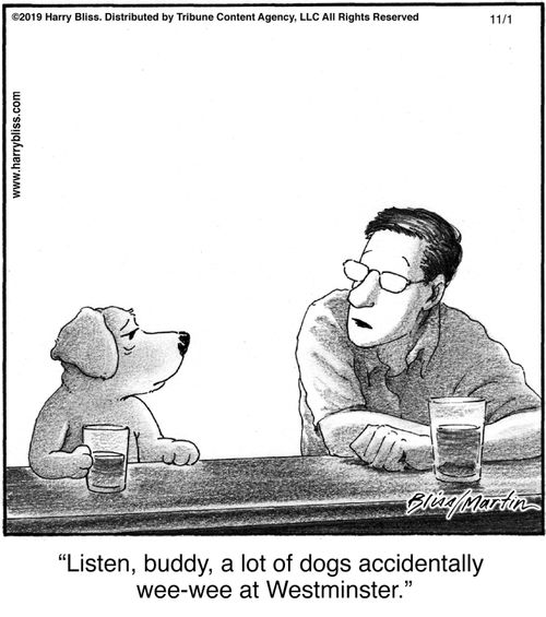 "Listen, buddy, a lot of dogs accidentally wee-wee at Westminster."