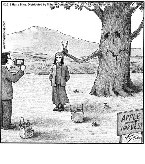 "Apple harvest."