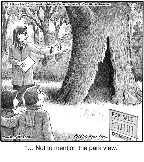 "Not to mention the park view."
