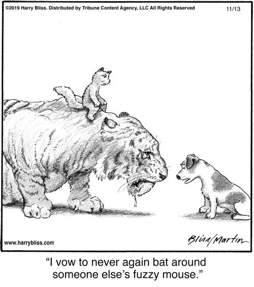 "I vow to never again bat around someone else's fuzzy mouse."