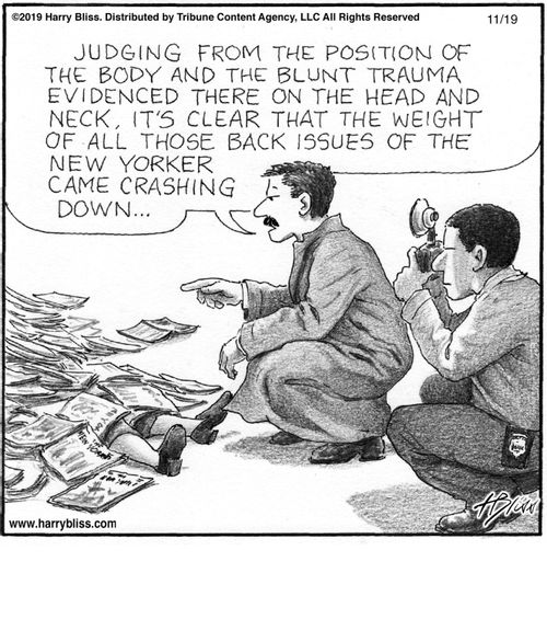 "Judging from the position of the body and the blunt trauma evidenced there on the head and neck, it's clear that the weight of all those back issues of the New Yorker came crashing down..."