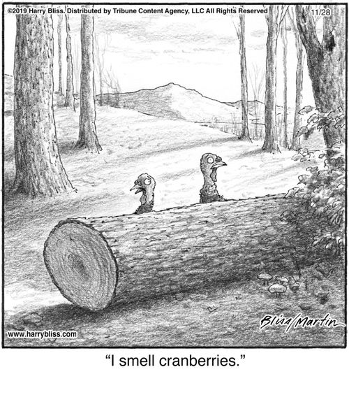"I smell cranberries."