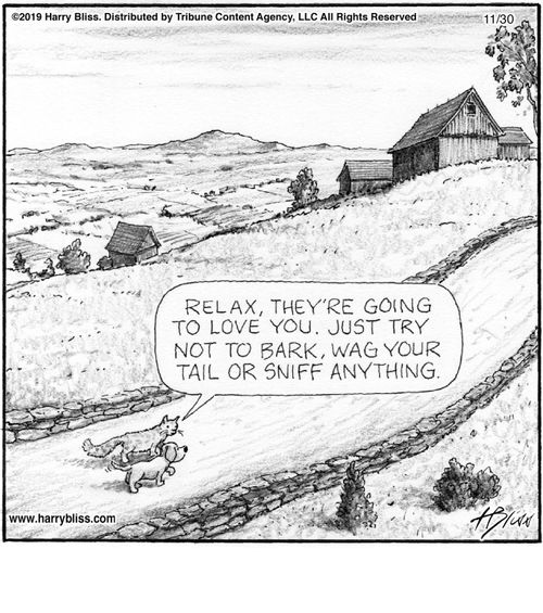 "Relax, they're going to love you. Just try not to bark, wag your tail or sniff anything."
