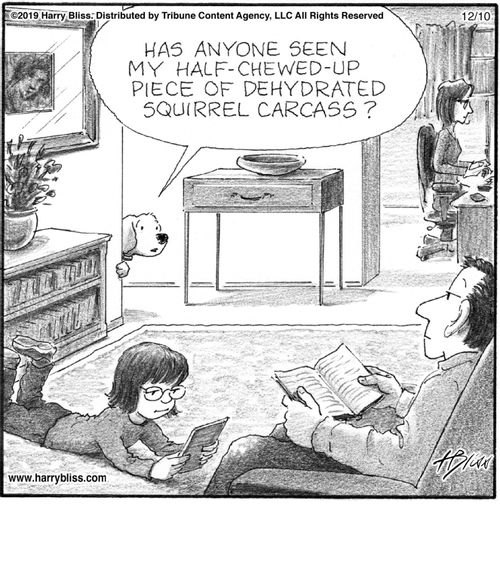 "Has anyone seen my half-chewed-up piece of dehydrated squirrel carcass?"