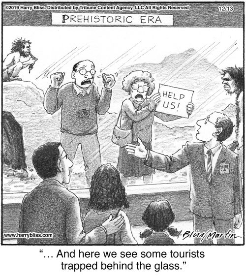 "... And here we see some tourists trapped behind the glass."