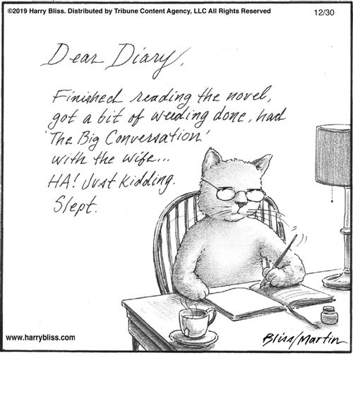 "Dear Diary, finished reading the novel, got a bit of weeding done, had 'The Big Conversation' with the wife… HA! Just kidding. Slept."