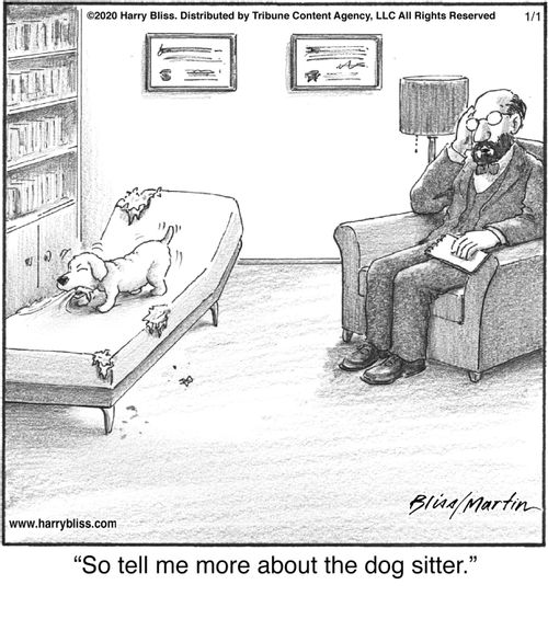 "So tell me more about the dog sitter."