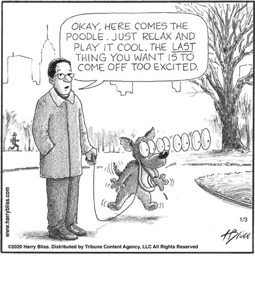 "Okay, here comes the poodle. Just relax and play it cool. The last thing you want is to come off too excited."