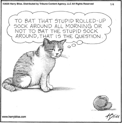 "To bat that stupid rolled-up sock around all morning or not to bat the stupid sock around, that is the question."