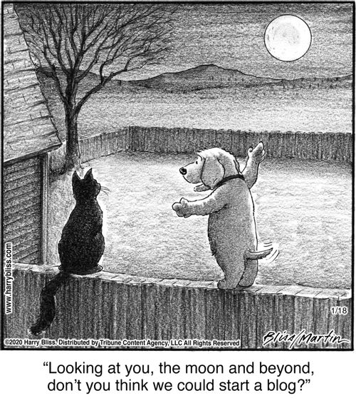 "Looking at you, the moon and beyond, don't you think we could start a blog?"