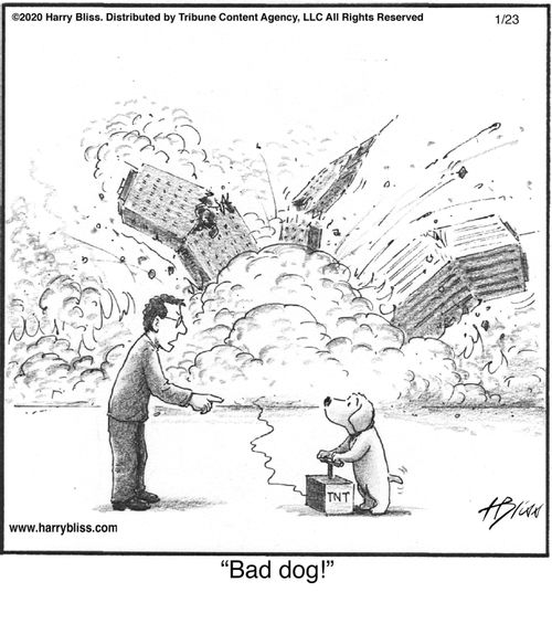 "Bad dog!"