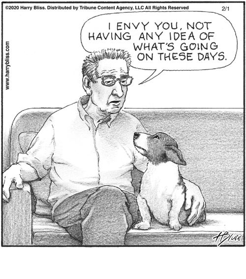 "I envy you, not having any idea of what's going on these days."
