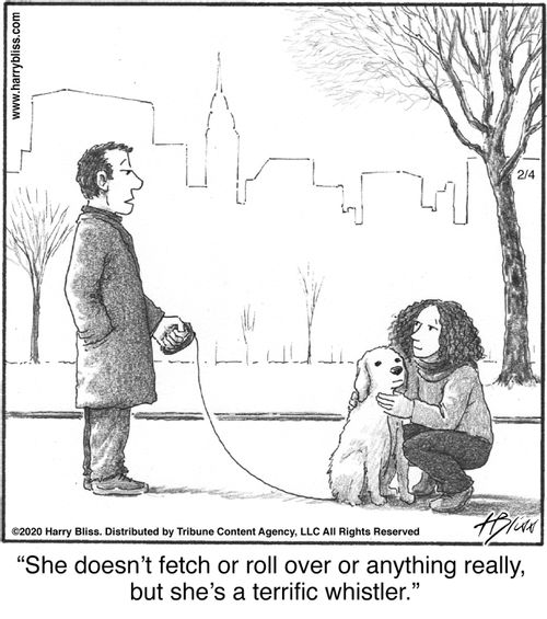 "She doesn’t fetch or roll over or anything really, but she’s a terrific whistler."