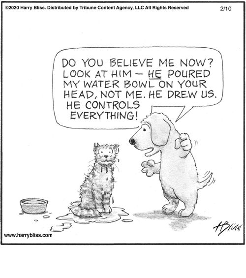 "Do you believe me now? Look at him — he poured my water bowl on your head, not me. He drew us. He controls everything!"