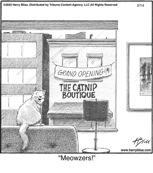 "Meowzers!"