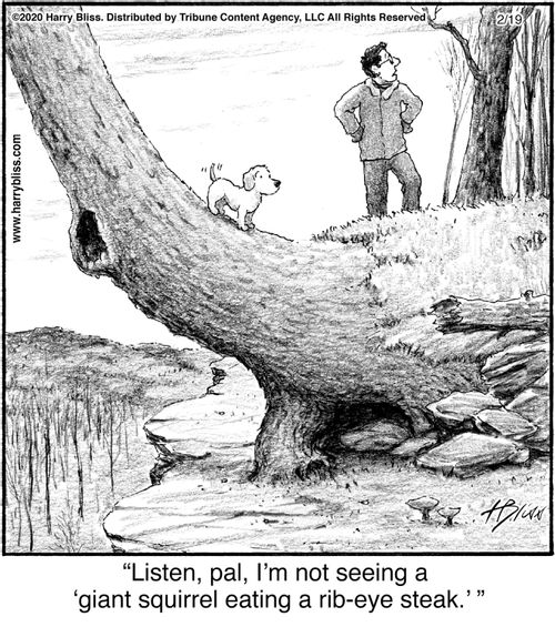 "Listen, pal, I’m not seeing a ‘giant squirrel eating a rib-eye steak.’"