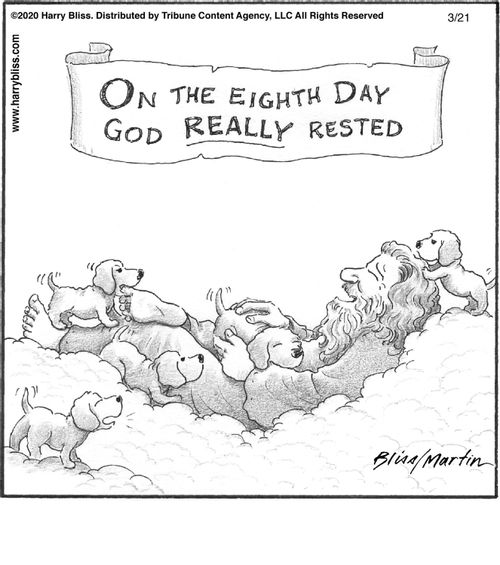 "On the eighth day God really rested."