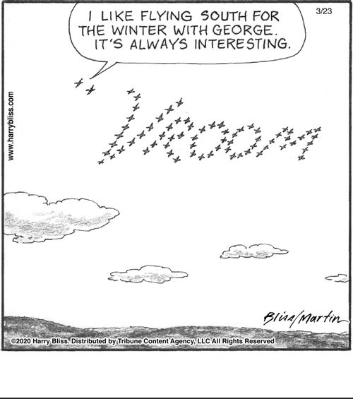 "I like flying south for the winter with George. It's always interesting."