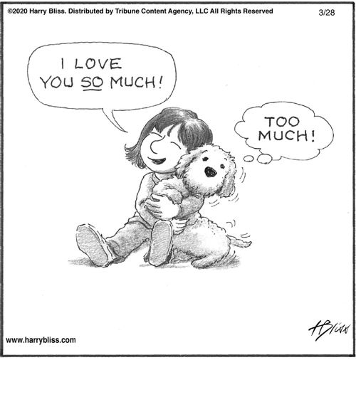 "I love you so much!"   "Too much!"