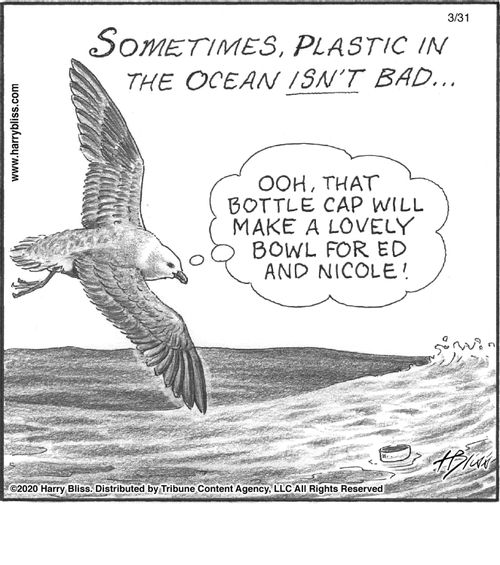 "Sometimes, plastic in the ocean isn't bad... Ooh, that bottle cap will make a lovely bowl for Ed and Nicole!"