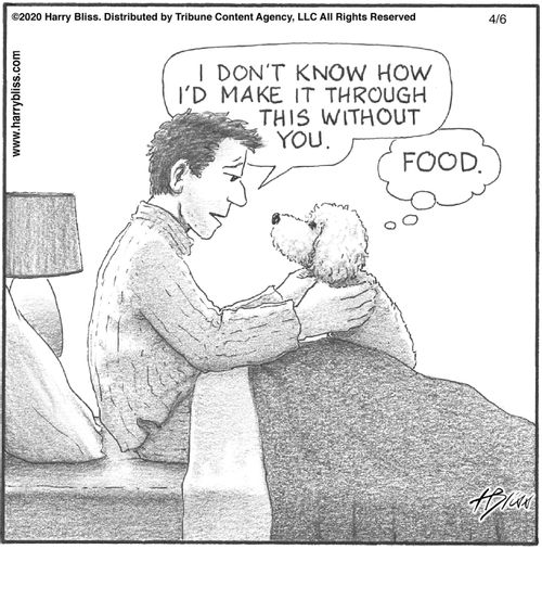 "I don't know how I'd make it through this without you."   "Food."