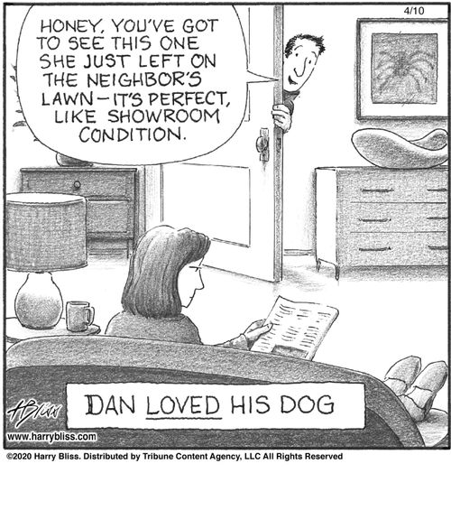 "Honey, you’ve got to see this one she just left on the neighbor’s lawn—it’s perfect, like showroom condition."  "Dan loved his dog."