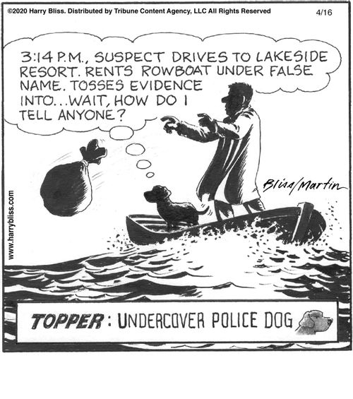 "3:14 p.m. Suspect drives to lakeside resort. Rents rowboat under false name. Tosses evidence into... wait, how do I tell anyone?"  Topper: Undercover police dog