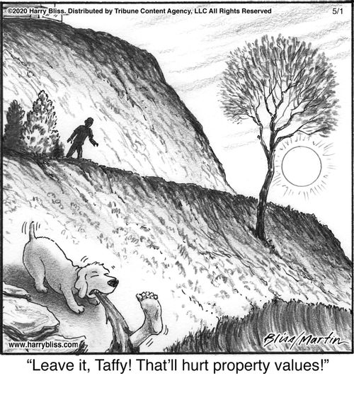 "Leave it, Taffy! That’ll hurt property values!"