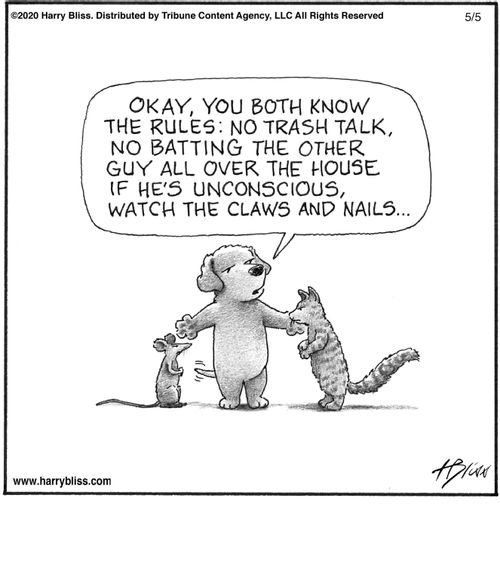 "Okay, you both know the rules: no trash talk, no batting the other guy all over the house if he’s unconscious, watch the claws and nails..."