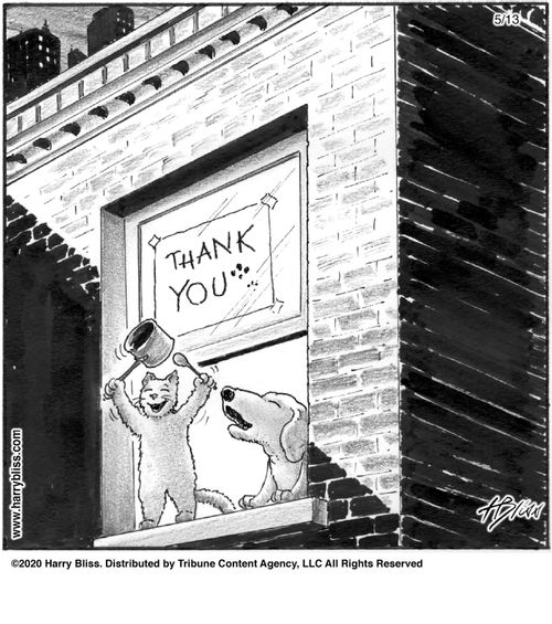 "Thank you."