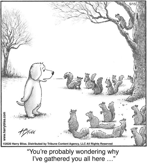 "You're probably wondering why I've gathered you all here ..."