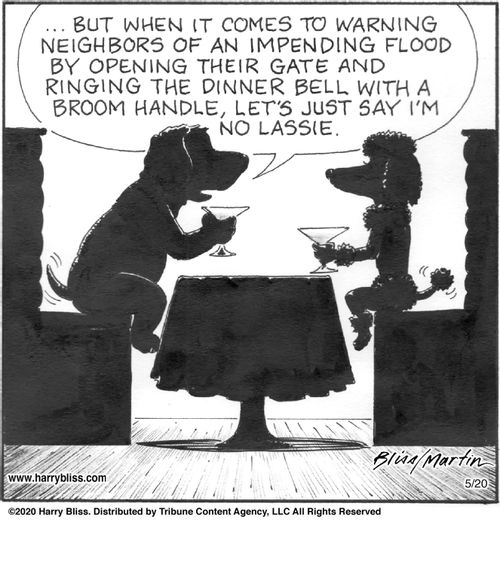 "But when it comes to warning neighbors of an impending flood by opening their gate and ringing the dinner bell with a broom handle, let's just say I'm no Lassie."